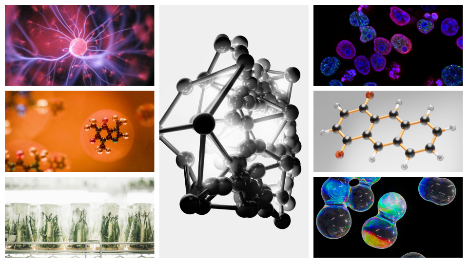 International Conference on “Frontiers in Chemical Sciences: Applications in Energy, Environment and Health (FCS-2026)” HYBRID MODE